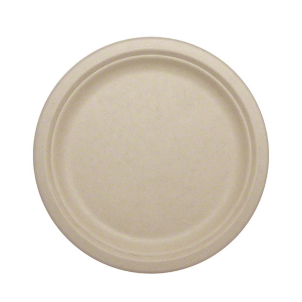 A 10" natural white Empress Earth heavy-weight plate made from bagasse, featuring a durable, PFAS-free, and eco-friendly design, ideal for serving hot and cold foods.