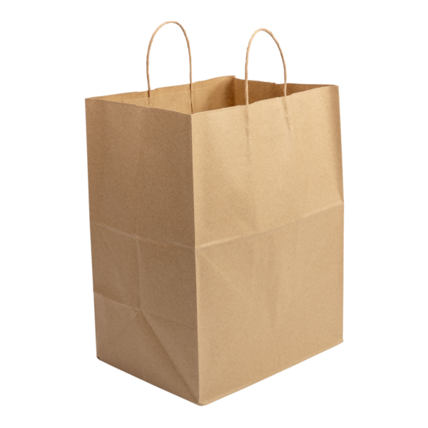 Twisted Handle Kraft Paper Shopping Bag 12"x9"x15¾" - 200/Case