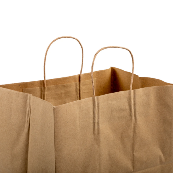 Twisted Handle Kraft Paper Shopping Bag 12"x9"x15¾" - 200/Case - Image 2