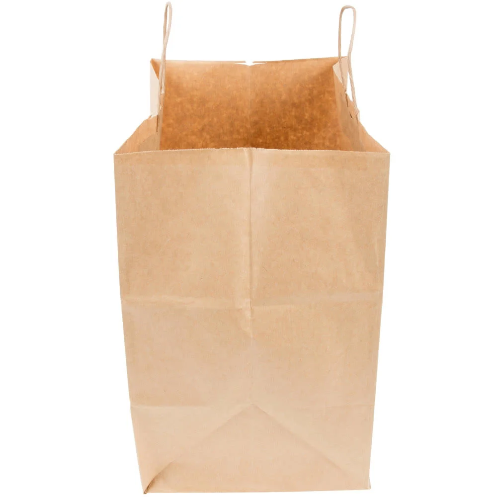 Large natural kraft paper grocery bag with sturdy twisted rope handles, standing upright and open, showing its spacious interior.